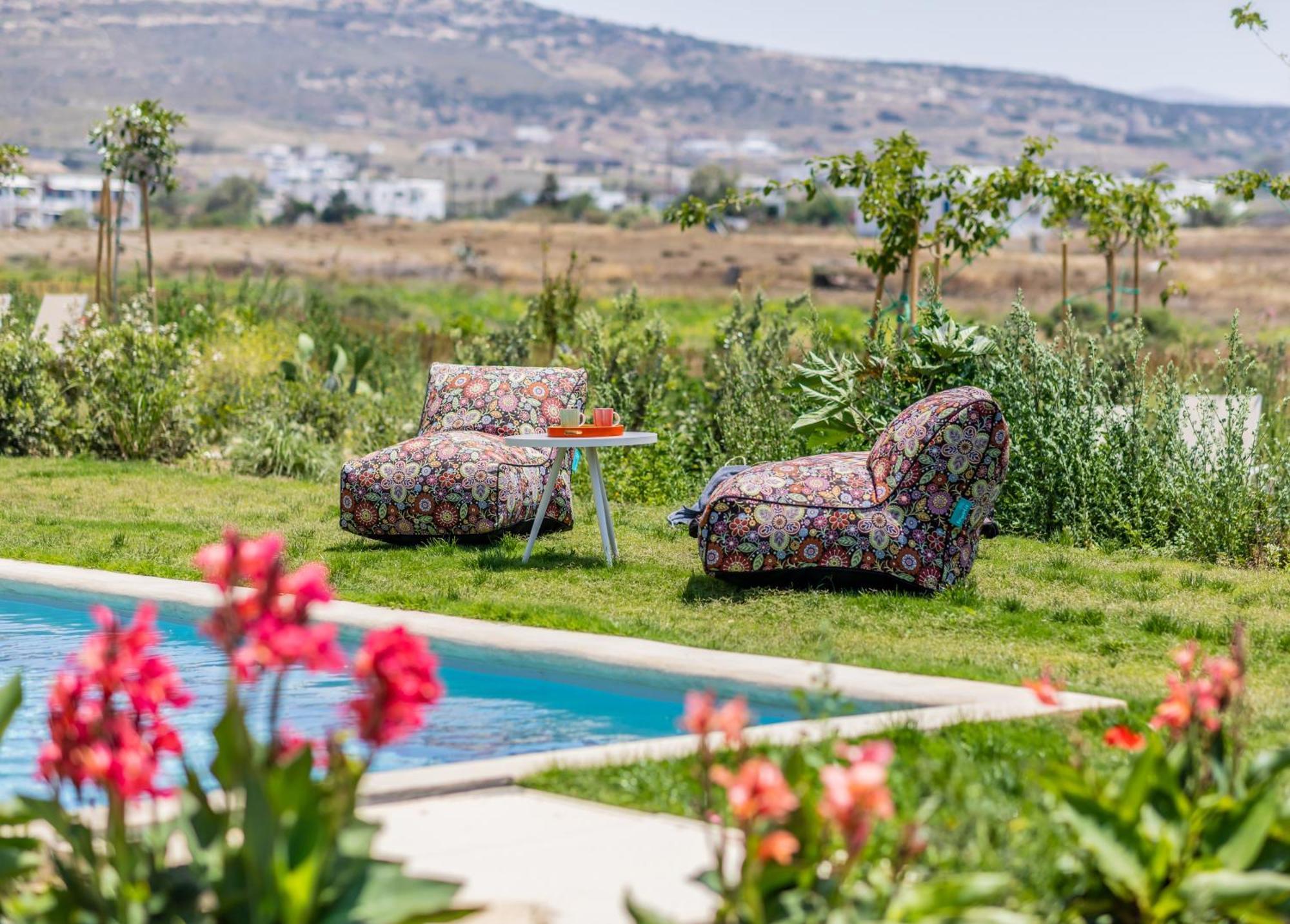 Plioni Villas & Suites Mikri Vigla Bagian luar foto