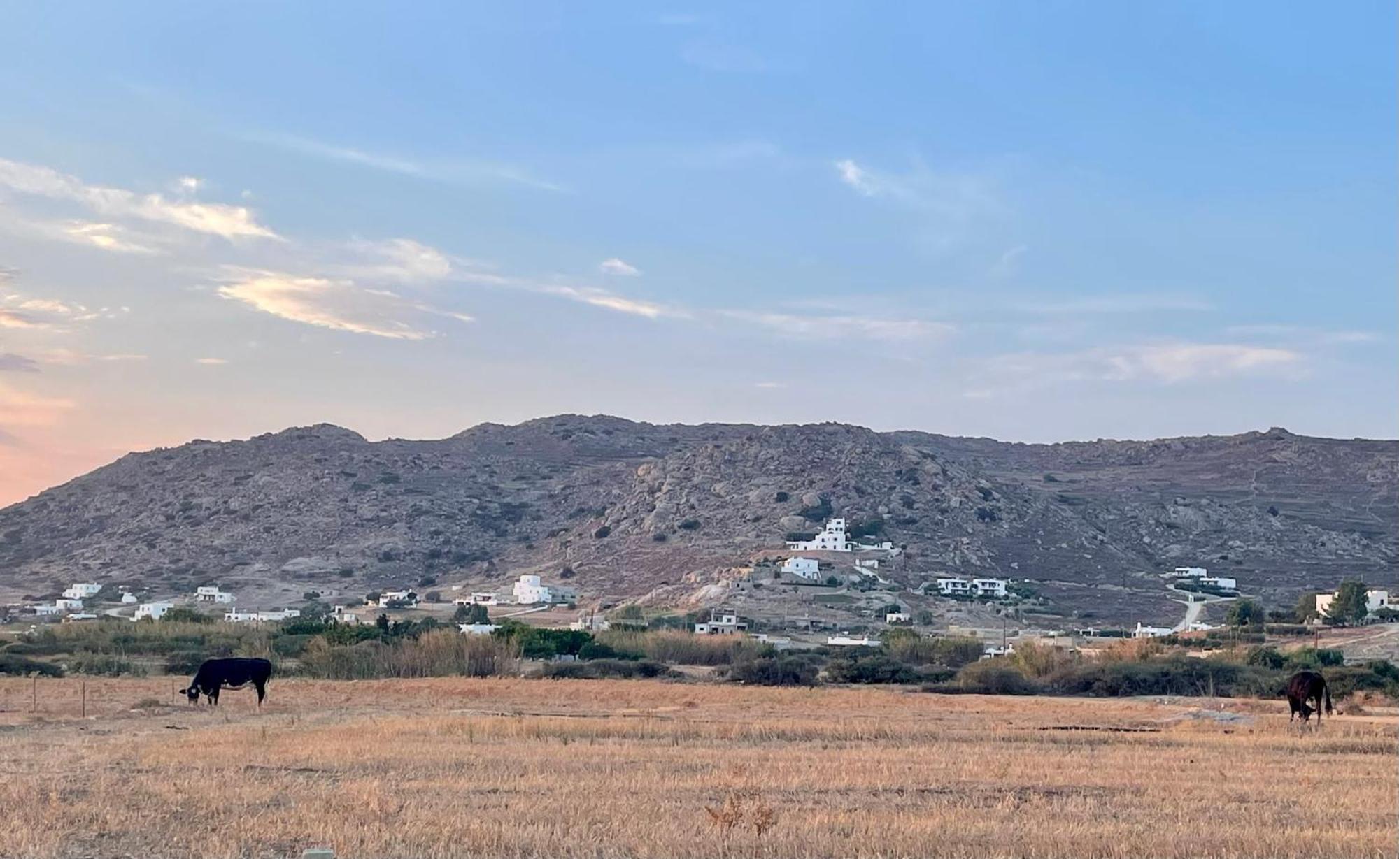 Plioni Villas & Suites Mikri Vigla Ruang foto
