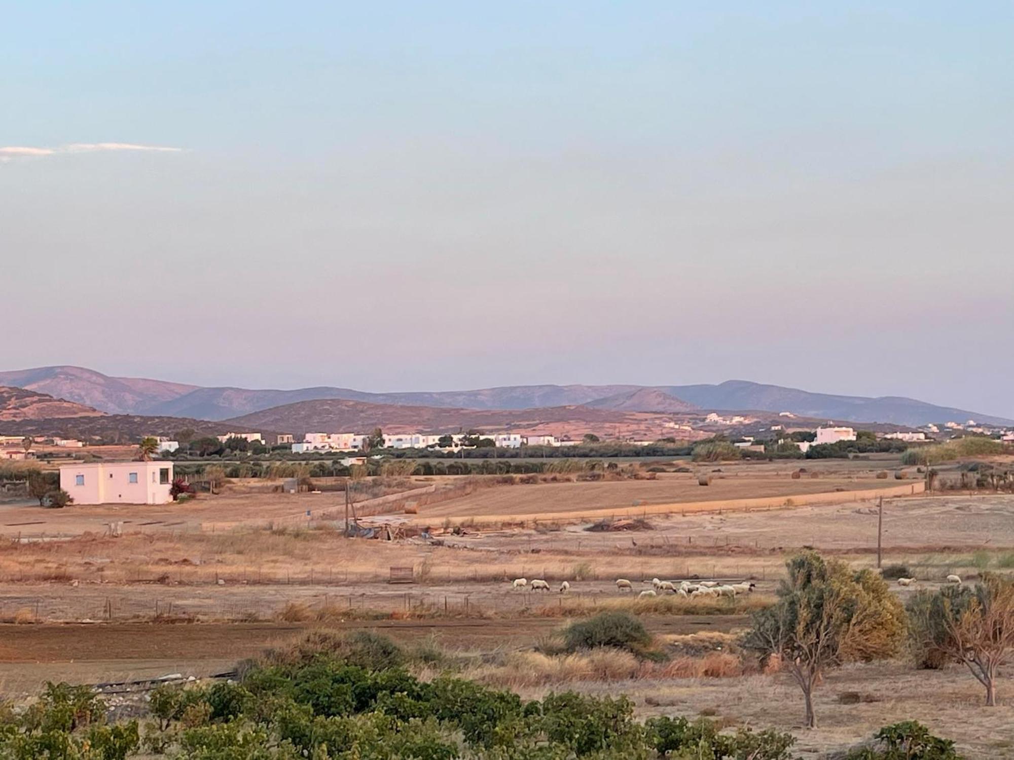 Plioni Villas & Suites Mikri Vigla Ruang foto